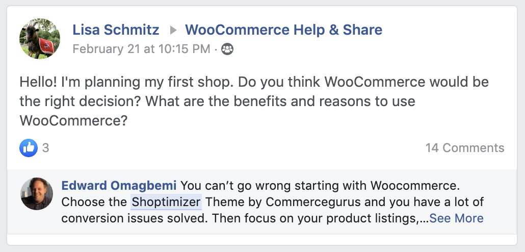 Shoptimizer word of mouth example